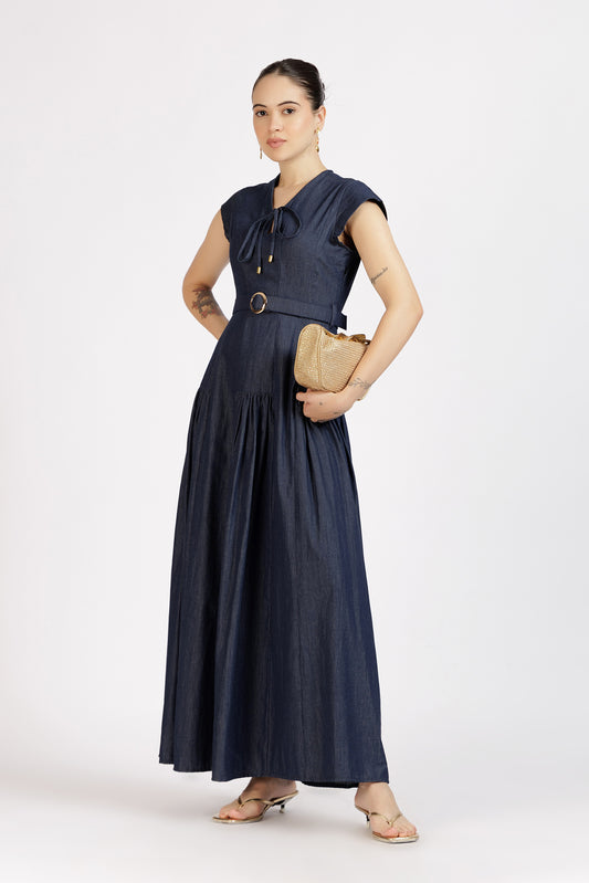 Poise Denim Dress