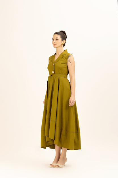 Bold Button Dress