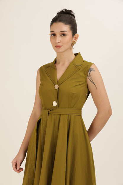 Bold Button Dress