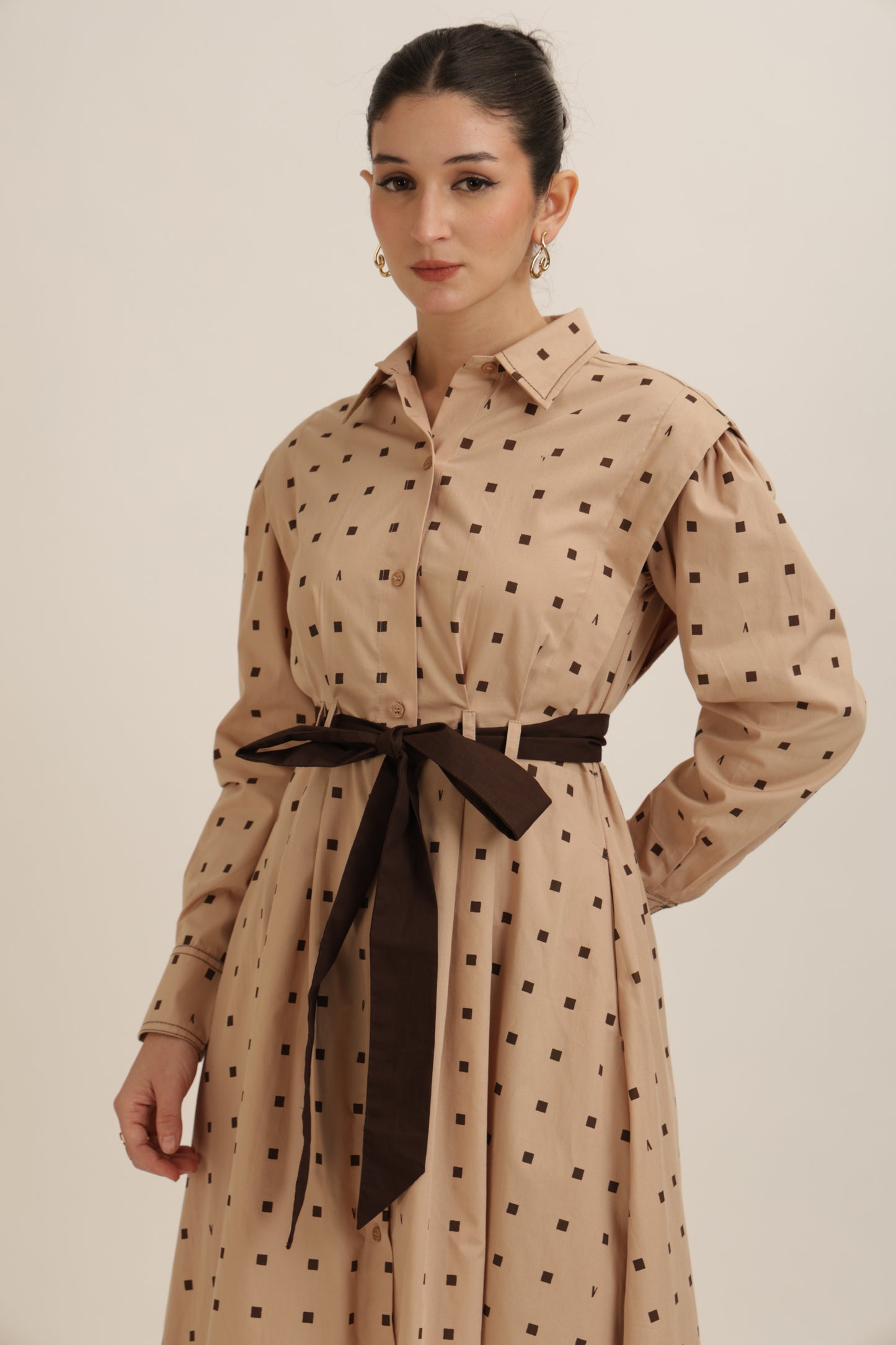 Belted Shirt Dress
